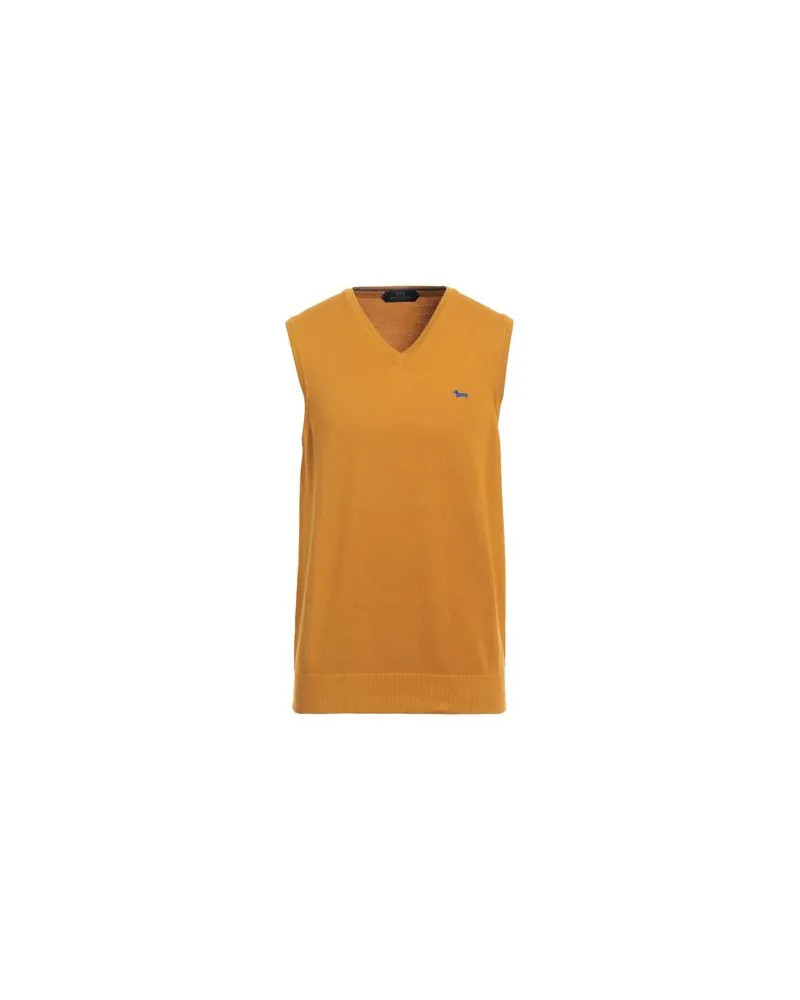 Harmont & Blaine STRICKWAREN - Pulloverauf YOOX.COM Ringelblume