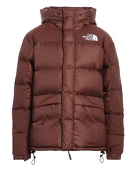 The North Face Pufferjacke & Daunenjacke Braun