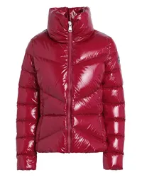 Colmar GLOWER Pufferjacke & Daunenjacke Purpur