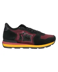 Atlantic Stars Sneakers Bordeaux