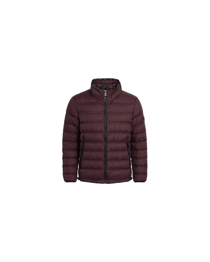 Peuterey JACKEN & MÄNTEL - Pufferjacken & Daunenjackenauf YOOX.COM Dunkelviolett