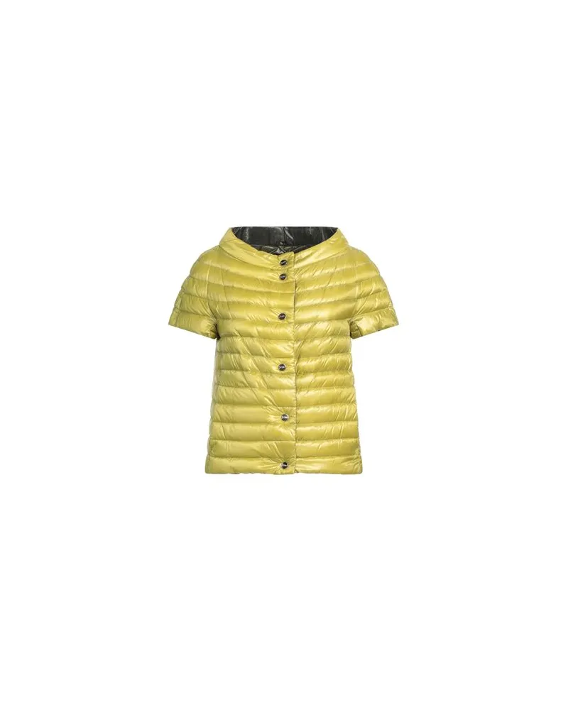Herno JACKEN & MÄNTEL - Pufferjacken & Daunenjackenauf YOOX.COM Limettengrün
