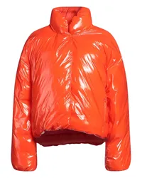 Pinko Pufferjacke & Daunenjacke Orange