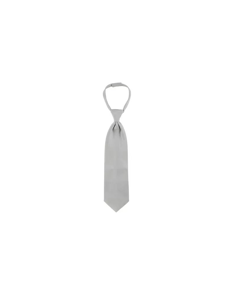 Carlo Pignatelli ACCESSOIRES - Krawatten & Fliegenauf YOOX.COM Hellgrau