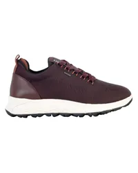 Geox Sneakers Violett