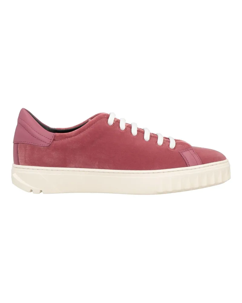 Ferragamo Sneakers Altrosa