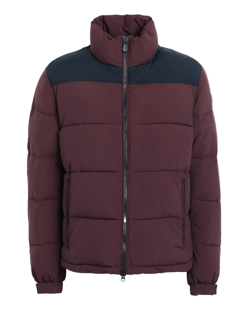 Save The Duck Pufferjacke & Daunenjacke Bordeaux