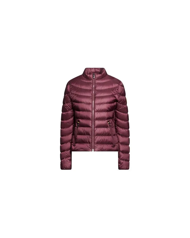 Ciesse Piumini JACKEN & MÄNTEL - Pufferjacken & Daunenjackenauf YOOX.COM Bordeaux