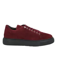 Roberto Botticelli Sneakers Bordeaux