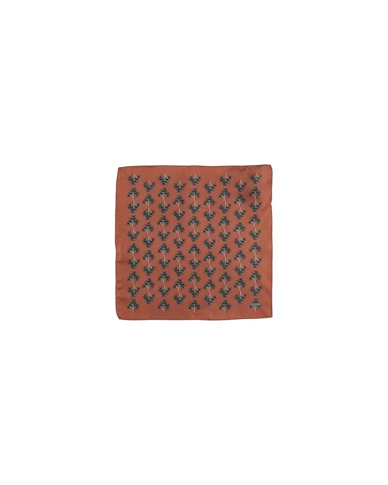 Z Zegna ACCESSOIRES - Krawatten & Fliegenauf YOOX.COM Braun