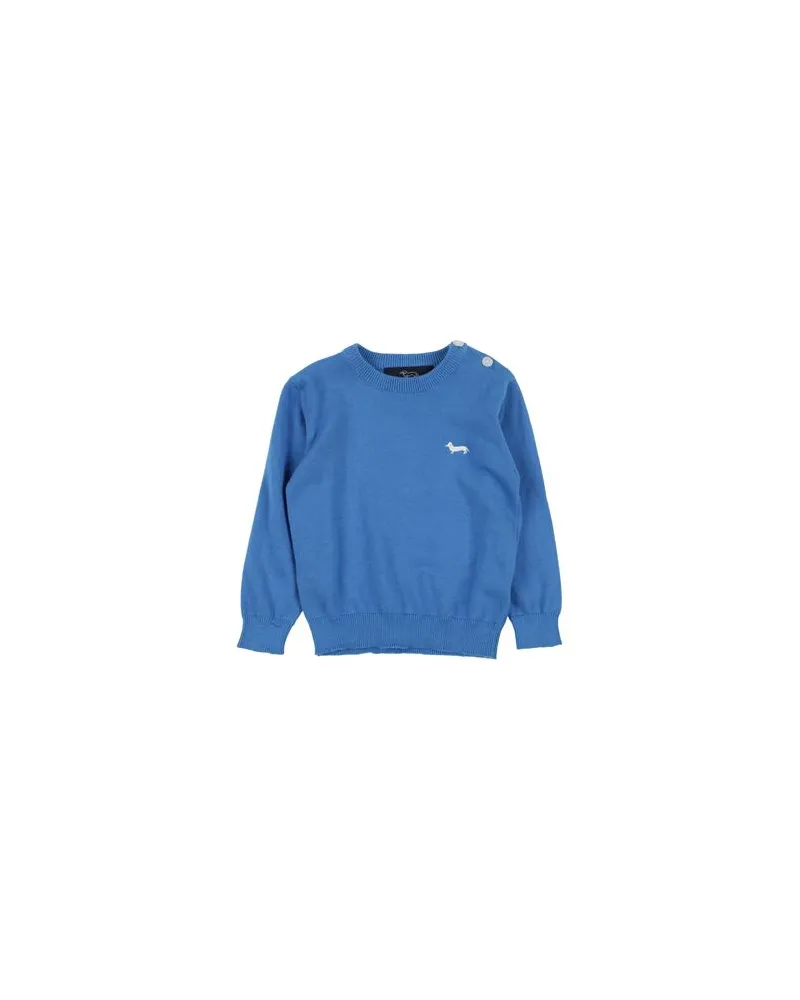 Harmont & Blaine STRICKWAREN - Pulloverauf YOOX.COM Blau