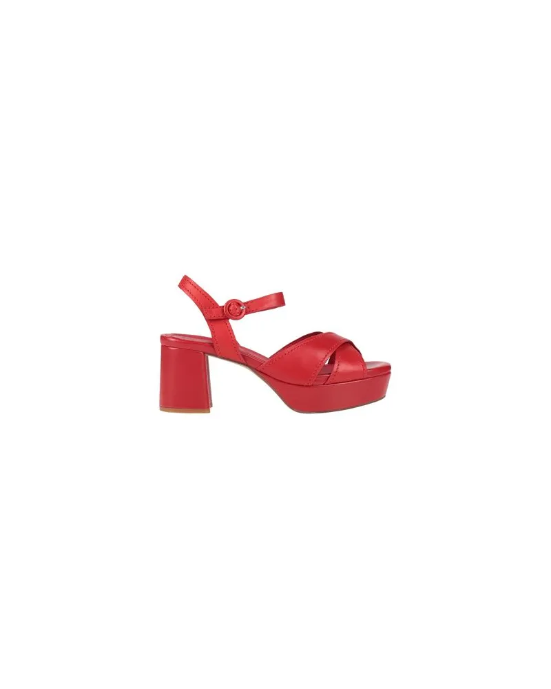 ELVIO ZANON SCHUHE - Sandalenauf YOOX.COM Rot