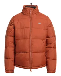 Dickies Pufferjacke & Daunenjacke Orange