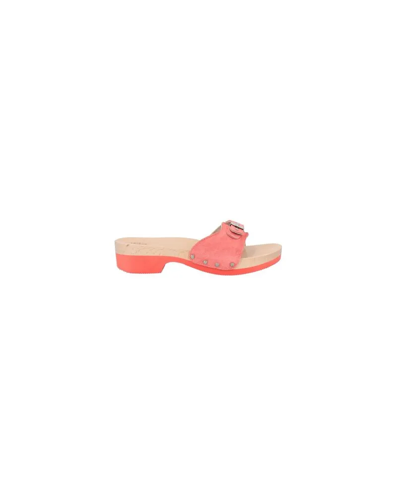 Scholl ICONIC - SCHUHE - Mules & Clogsauf YOOX.COM Koralle