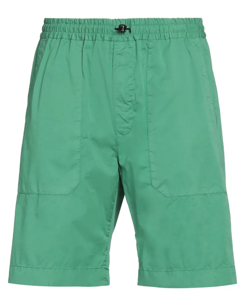 Incotex Shorts & Bermudashorts Grün