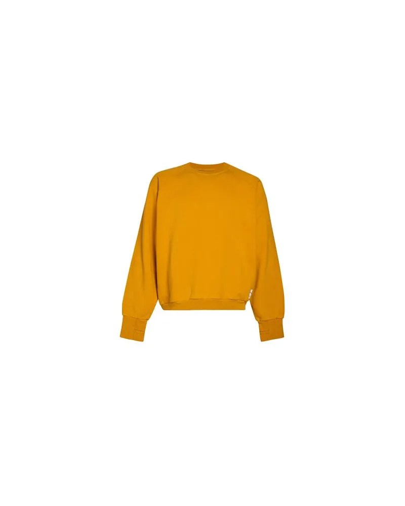Spiewak TOPS - Sweatshirtsauf YOOX.COM Ringelblume