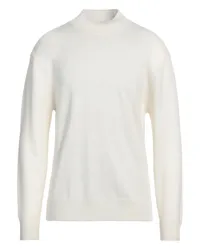 HOSIO Rollkragenpullover Weiß