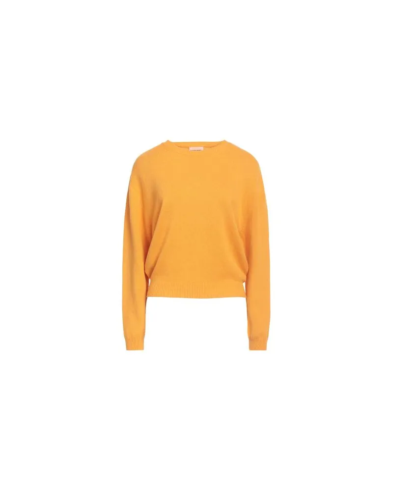 Scaglione HYBRID CASHMERE - STRICKWAREN - Pulloverauf YOOX.COM Ringelblume