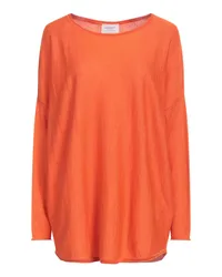 Snobby Sheep Pullover Orange