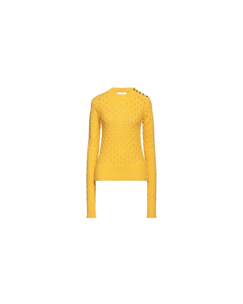 SPORTMAX STRICKWAREN - Pulloverauf YOOX.COM Ringelblume