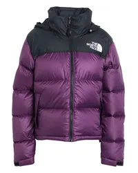 The North Face Pufferjacke & Daunenjacke Pflaume