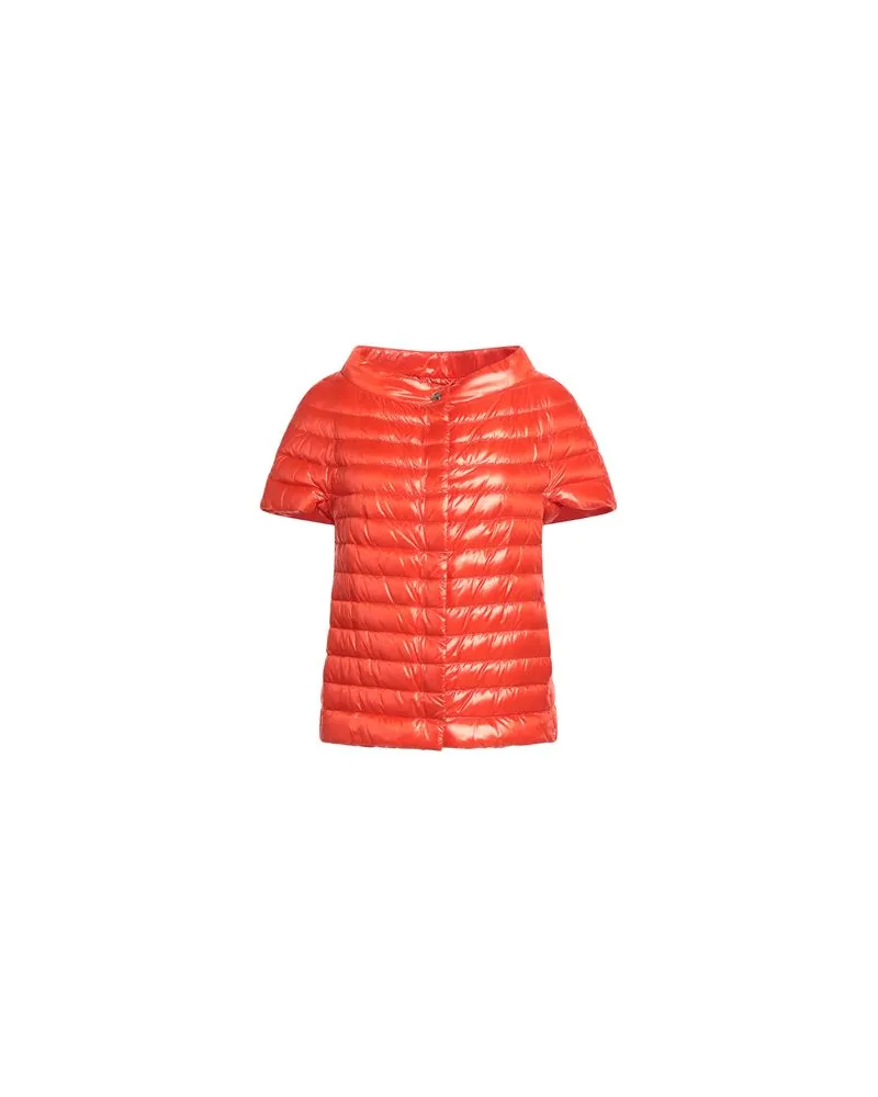 Herno ICONICO - JACKEN & MÄNTEL - Pufferjacken & Daunenjackenauf YOOX.COM Rostrot