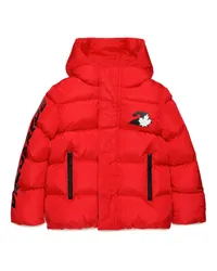 Dsquared2 Pufferjacke & Daunenjacke Tomatenrot