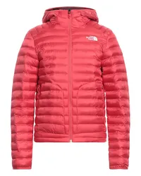 The North Face Pufferjacke & Daunenjacke Koralle