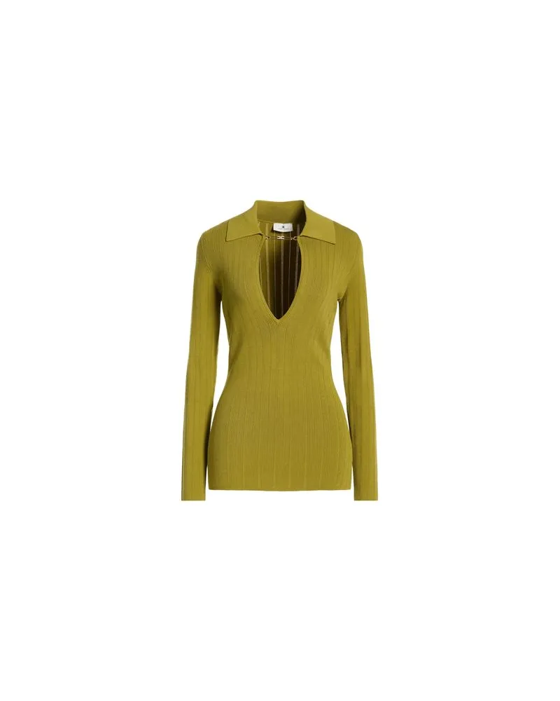 Elisabetta Franchi STRICKWAREN - Pulloverauf YOOX.COM Grün