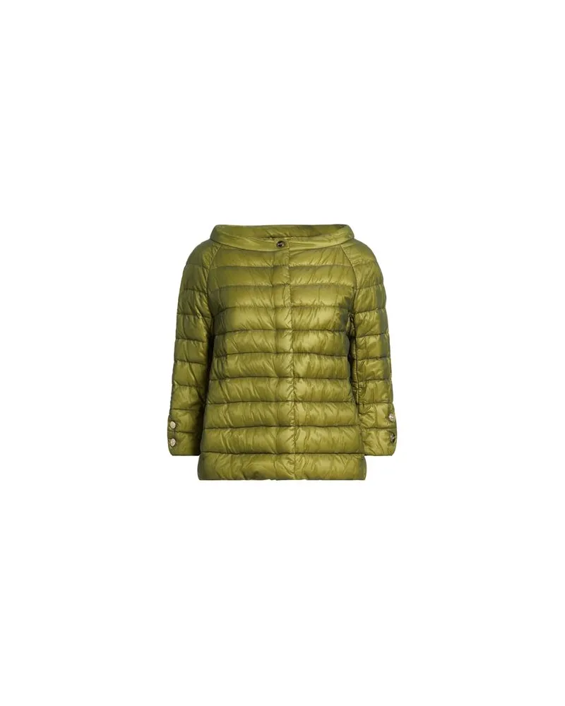 Herno JACKEN & MÄNTEL - Pufferjacken & Daunenjackenauf YOOX.COM Grün