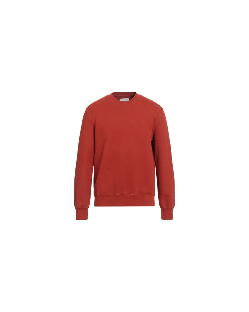 CIRCOLO 1901 TOPS - Sweatshirtsauf YOOX.COM Rostrot