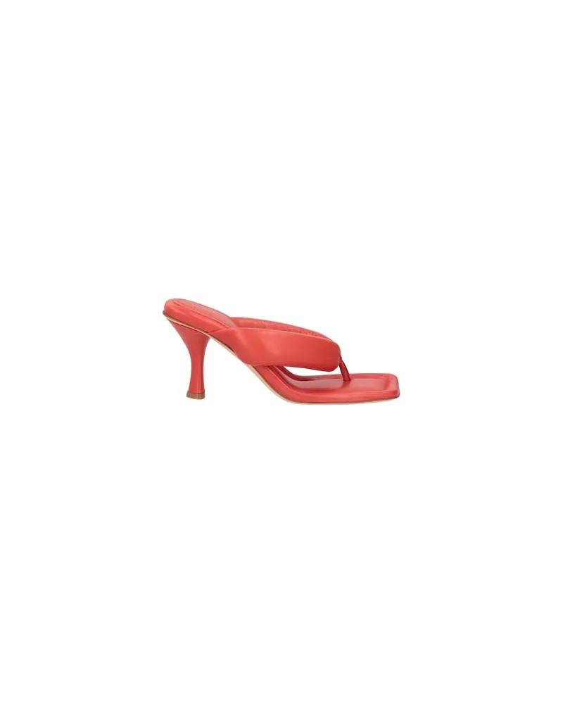 Liviana Conti SCHUHE - Zehentrennerauf YOOX.COM Koralle