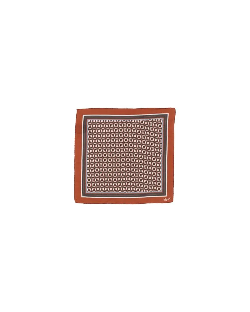 Ermenegildo Zegna ACCESSOIRES - Schalsauf YOOX.COM Braun