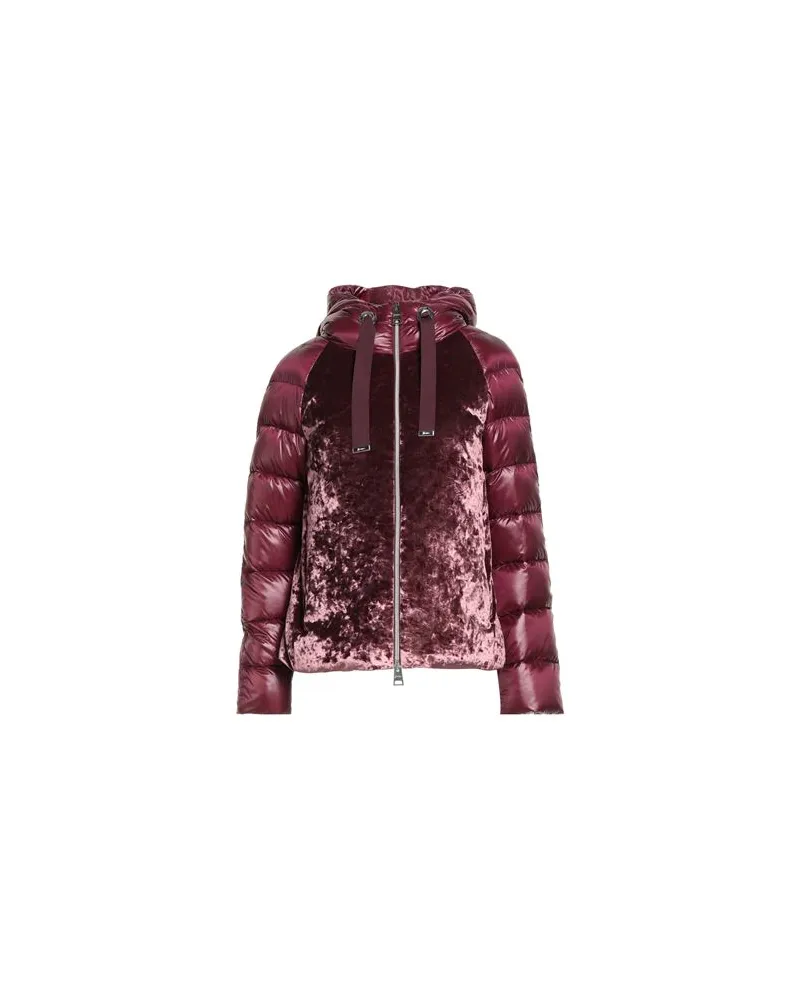 Herno JACKEN & MÄNTEL - Pufferjacken & Daunenjackenauf YOOX.COM Purpur