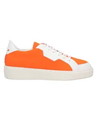 Attimonelli's Sneakers Orange