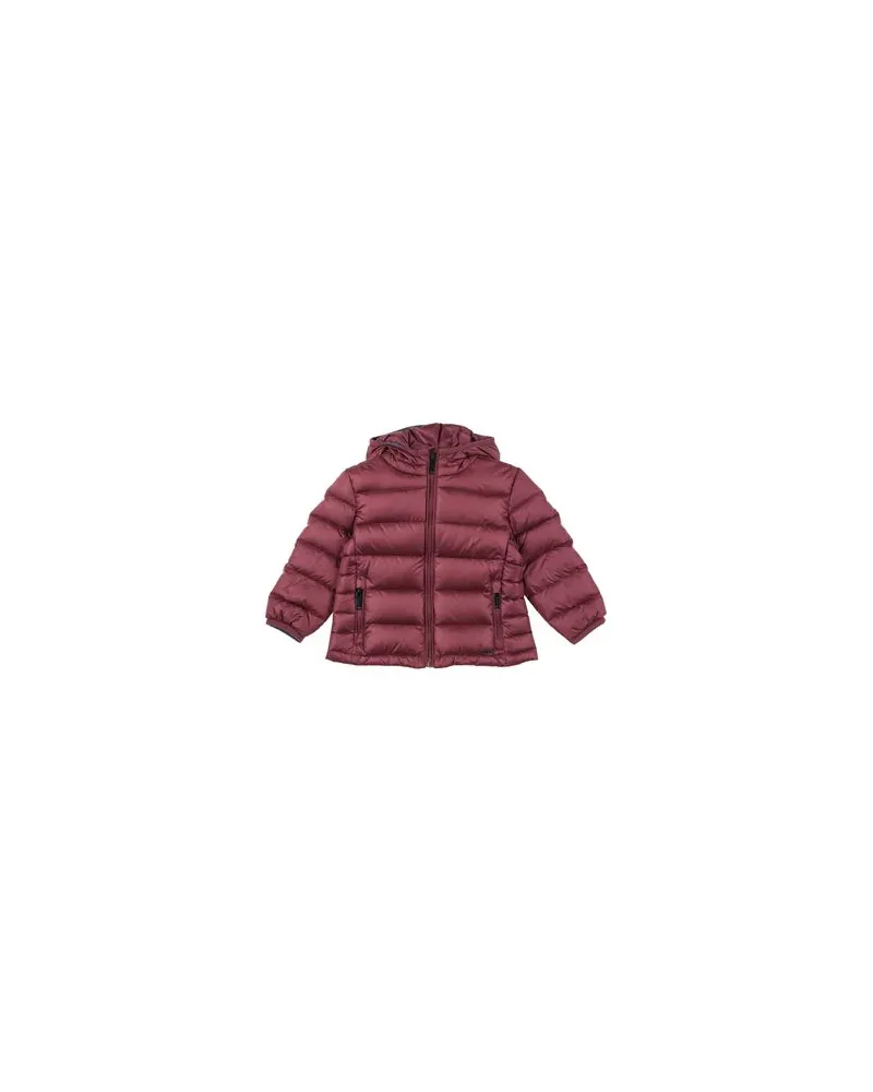 Byblos JACKEN & MÄNTEL - Pufferjacken & Daunenjackenauf YOOX.COM Bordeaux