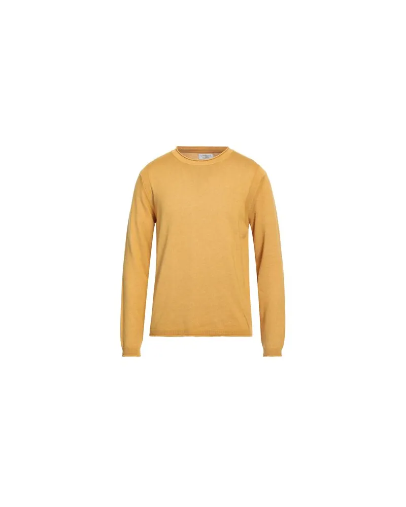 Bellwood STRICKWAREN - Pulloverauf YOOX.COM Senf