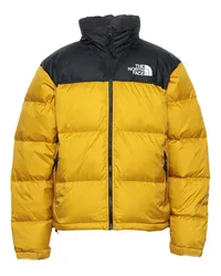 The North Face Pufferjacke & Daunenjacke Ocker