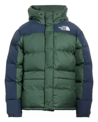 The North Face Pufferjacke & Daunenjacke Grün