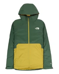 The North Face Pufferjacke & Daunenjacke Grün