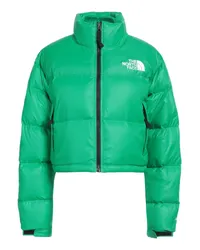 The North Face Pufferjacke & Daunenjacke Grün