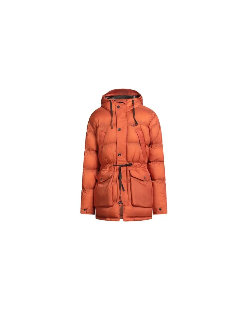 Aeronautica Militare JACKEN & MÄNTEL - Pufferjacken & Daunenjackenauf YOOX.COM Orange