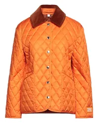 Burberry Pufferjacke & Daunenjacke Orange