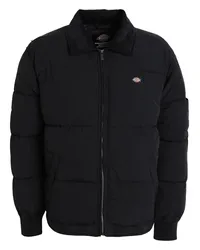 Dickies OVERBROOK EISENHOWER PUFFER Pufferjacke Schwarz