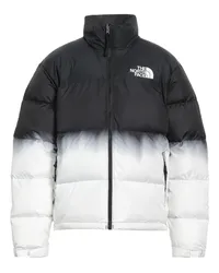 The North Face Pufferjacke & Daunenjacke Schwarz