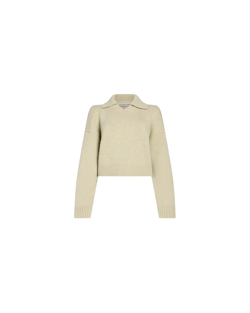 Alexander Wang STRICKWAREN - Pulloverauf YOOX.COM Salbeigrün