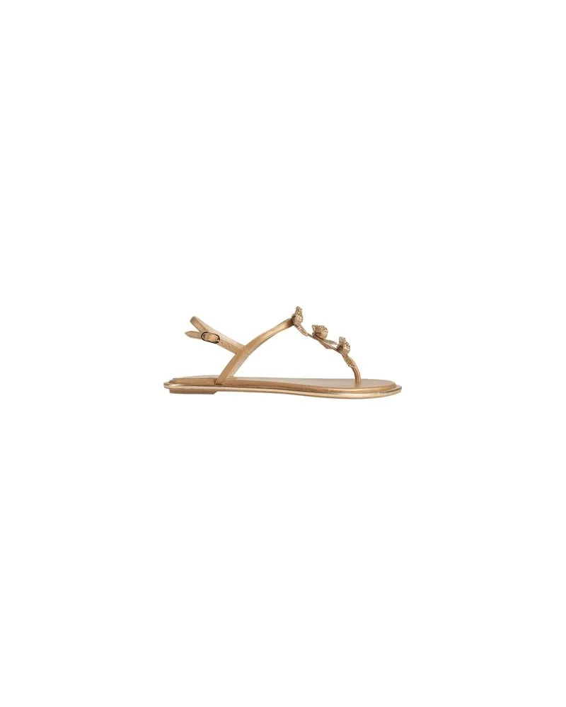René Caovilla SCHUHE - Zehentrennerauf YOOX.COM Kamel