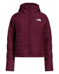 The North Face Pufferjacke & Daunenjacke Pflaume