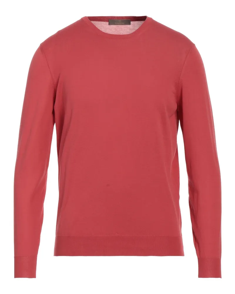 Cruciani Pullover Koralle