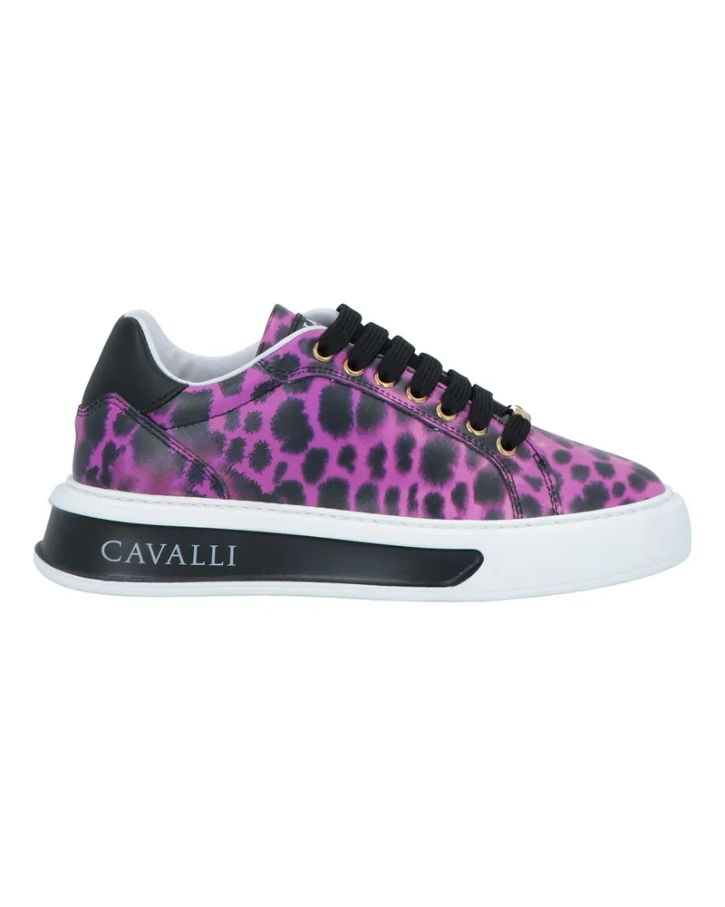 Roberto Cavalli Sneakers Purpur